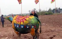 Hội thi vẽ trang trí trâu Lễ hội Tịch điền Đọi Sơn 2023