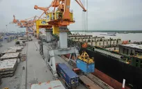 Dấu ấn xuất khẩu của Việt Nam năm 2022