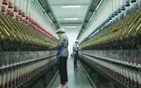 “Xanh hóa” sản xuất giúp doanh nghiệp phát triển bền vững