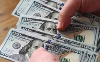 FED có thể sớm dừng tăng lãi suất