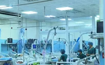 Cảnh báo về tình trạng ngộ độc rượu sau Tết