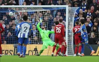 Brighton tiếp tục duy trì thành tích tốt trước Liverpool
