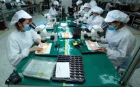 Người lao động phấn khởi trở lại làm việc sau Tết