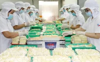 Doanh nghiệp hồ hởi bước vào mùa sản xuất mới