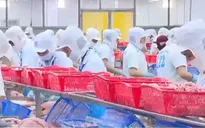 Doanh nghiệp nông nghiệp tập trung sản xuất từ đầu năm