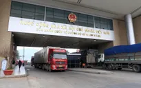 Nhộn nhịp hoạt động xuất nhập khẩu đầu năm mới