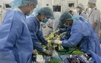 Cấp cứu thành công bệnh nhân sốt xuất huyết nặng biến chứng nguy hiểm