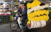Đi chợ hoa đêm Quảng Bá - nét văn hóa riêng của người Hà Nội mỗi dịp Tết đến, Xuân về