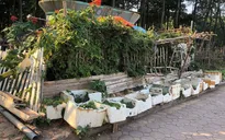 Hà Nội: Nhiều công viên bị bỏ hoang, sử dụng sai mục đích