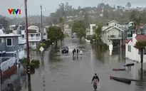 Bão tại California gây mưa to, gió lớn và tuyết rơi dày