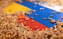Nga viện trợ ngũ cốc miễn phí cho châu Phi