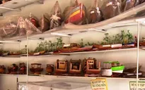 Nghệ nhân 30 năm đam mê sưu tập ghe xuồng
