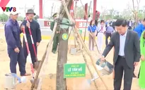 Phú Yên tổ chức lễ phát động Tết trồng cây