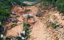 Phá rừng phòng hộ trên núi Thị Vải, 3 người bị phạt gần 600 triệu đồng