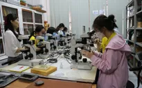 Tuyển sinh đại học 2023: Cần có chính sách thu hút sinh viên các ngành khoa học cơ bản