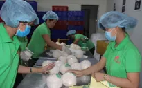 Doanh nghiệp tìm cách mở rộng thị trường