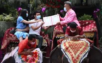 Kết hôn trên lưng voi tại Thái Lan