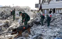 Công binh và chó nghiệp vụ của QĐND Việt Nam bắt đầu tìm kiếm cứu nạn tại Thổ Nhĩ Kỳ
