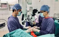 Nối lại toàn bộ da đầu, hai tai và hai mi mắt bị lột đứt rời