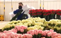 Chi phí ngày lễ Tình nhân ở mức cao trong "mùa lạm phát"