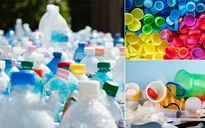 Sri Lanka cấm sản xuất và kinh doanh các sản phẩm nhựa dùng một lần
