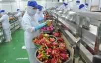 Nâng cao chất lượng nông sản đáp ứng thị trường Trung Quốc