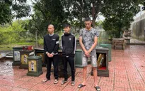Bắt 3 đối tượng chuyên trộm két sắt tại các đền, chùa, nhà thờ
