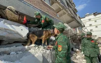 Lực lượng cứu nạn Quân đội nhân dân Việt Nam tìm thấy 2 vị trí có dấu hiệu sự sống tại Thổ Nhĩ Kỳ