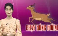 Nói chuyện yêu đương với con cái: Không vẽ đường thì hươu vẫn chạy!