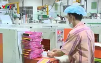 Giảm rác thải nhựa: Trách nhiệm tái chế bao bì nhựa của nhà sản xuất