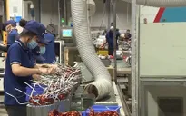Bình Dương, Đồng Nai thiếu hàng ngàn lao động