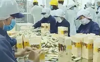 Thách thức xuất khẩu cà phê năm 2023