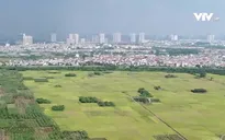 Hà Nội xử lý nghiêm các dự án chậm tiến độ