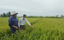 Đồng bằng sông Cửu Long chủ động ứng phó hạn, mặn