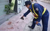 Liên tiếp các vụ chó thả rông cắn người nhập viện trên đường phố