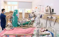 Ăn nấm rừng cực độc, 2 người nguy kịch