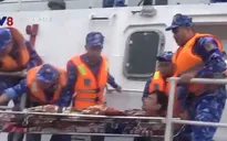 Tàu Cảnh sát biển 2012 cấp cứu ngư dân bị tai biến trên biển