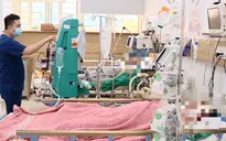 Vụ 6 người ngộ độc nấm ở Hòa Bình: 1 người tử vong