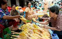 Bé gái ở Campuchia tử vong do cúm gia cầm H5N1