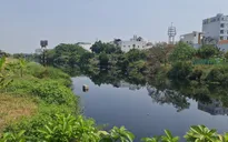 Cải tạo kênh dài nhất TP Hồ Chí Minh