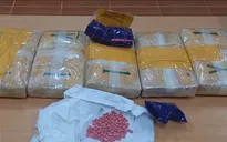 Nhận 20 triệu đồng vận chuyển thuê 54.000 viên ma túy