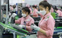 Thách thức thuế tối thiểu toàn cầu với Việt Nam