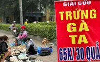 Giải cứu trứng gà: Chiêu trò của các thương lái?