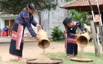 Hơn 11.000 tỷ đồng phát triển Tây Nguyên