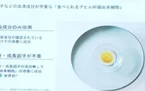Gan ngỗng nhân tạo từ phòng thí nghiệm Nhật Bản