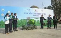 Trồng cây để đưa phát thải ròng bằng 0