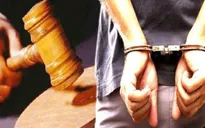 Truy tố hai bị can cố tình làm giả hồ sơ để cầm cố xe ô tô tự lái