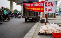 Cảnh giác với trứng gia cầm "giải cứu"
