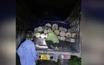 “Nóng“ tình trạng lâm tặc chống người thi hành công vụ