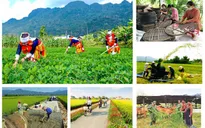 Tháo gỡ khó khăn thực hiện 3 chương trình mục tiêu quốc gia